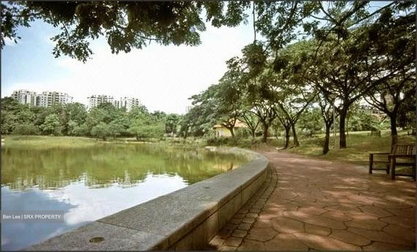 Miramar Gardens (D19), Terrace #573899881